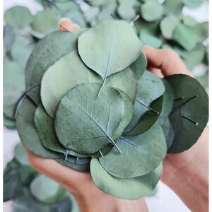300+ Pcs Dried Real Eucalyptus Leaves, Rustic Boho Wedding Table Decor Natural